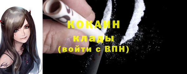 молекула духа Великий Новгород